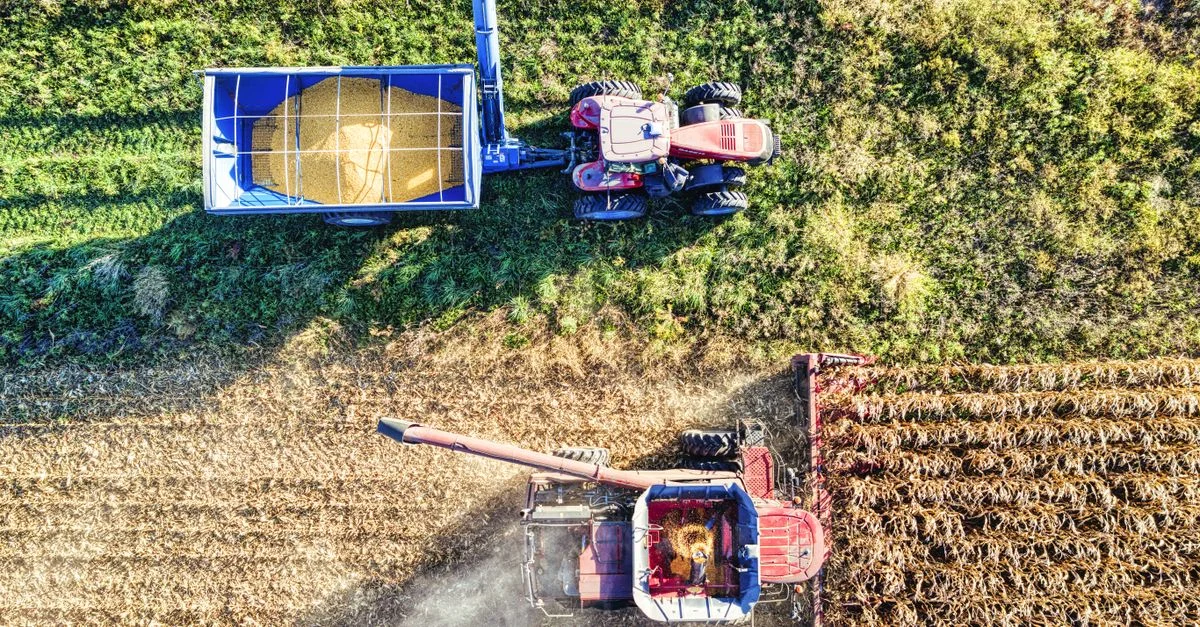 Vue aérienne d'un drone capturant un tracteur récoltant du maïs dans un champ du Minnesota en automne.